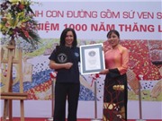 Bóng đá anh, ngoại hạng anh, lịch thi đấu euro 2012, Đại diện Tổ chức Kỷ lục Guinness thế giới: Suýt hụt kỷ lục vì thiếu vài chục m2!